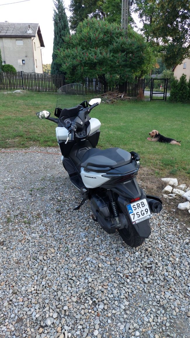 Honda Forza 125 Salon RP