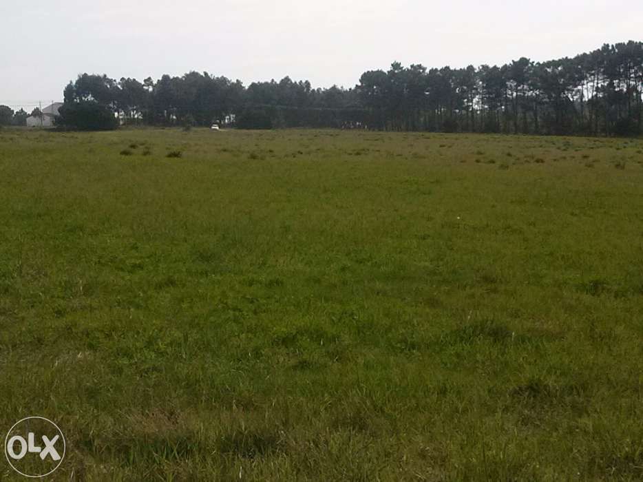 Arrenda-se terreno na Costa Vicentina - Aljezur