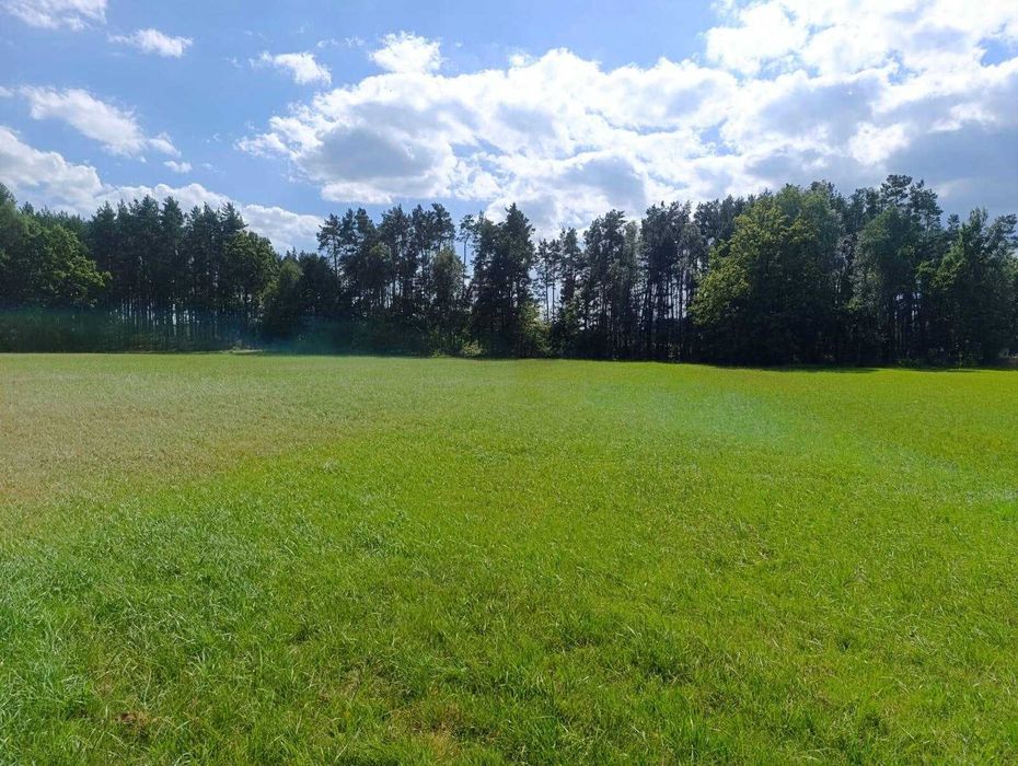 Na sprzedaż urokliwa posiadłość (dom, działka) ponad 3,5 ha