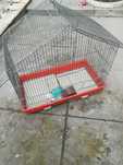 Gaiola para aves 62x37x58cm