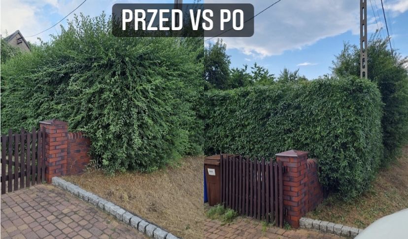 Pielegnacja ogrodów i terenów zielonych/koszenie traw