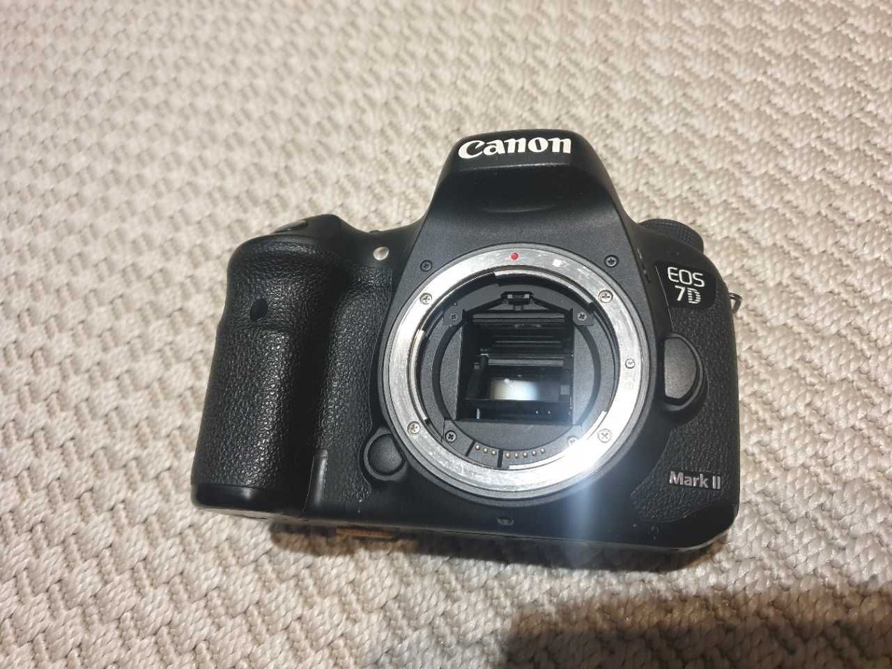 Canon EOS 7D Mark II + Sigma 150-600mm +Canon 50 +Tamron 17-50