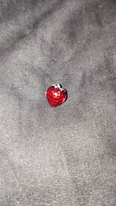 Charms truskawka