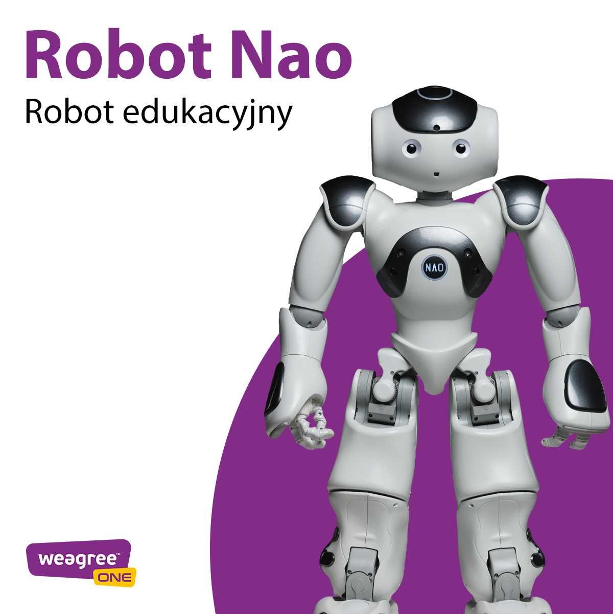 Robot dla szkół Nao - robot do szkoły, uniwersytetu, uczelni