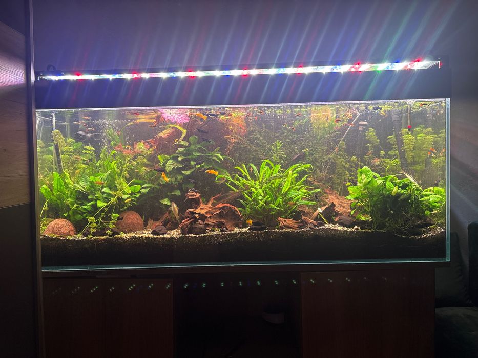 Akwarium z wyposażeniem i życiem 450 l