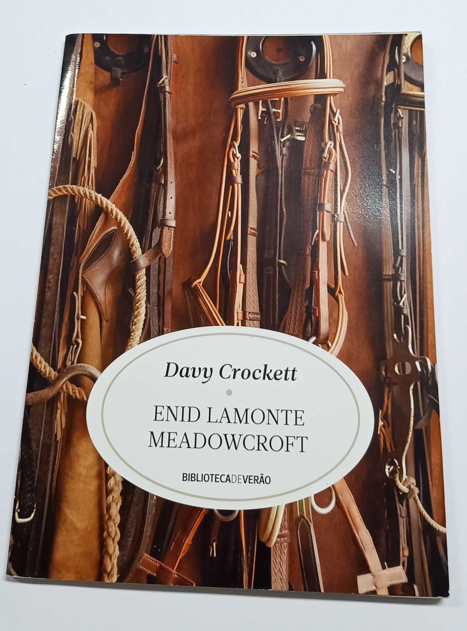 Davy Crockett, de Enid Lamonte Meadowceroft