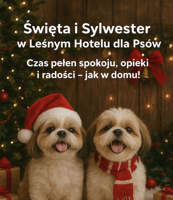 Leśny Hotel dla psów w Jaworzu opieka nad psem na najwyższym poziomie