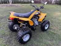 can-am DS 250 stan bdb