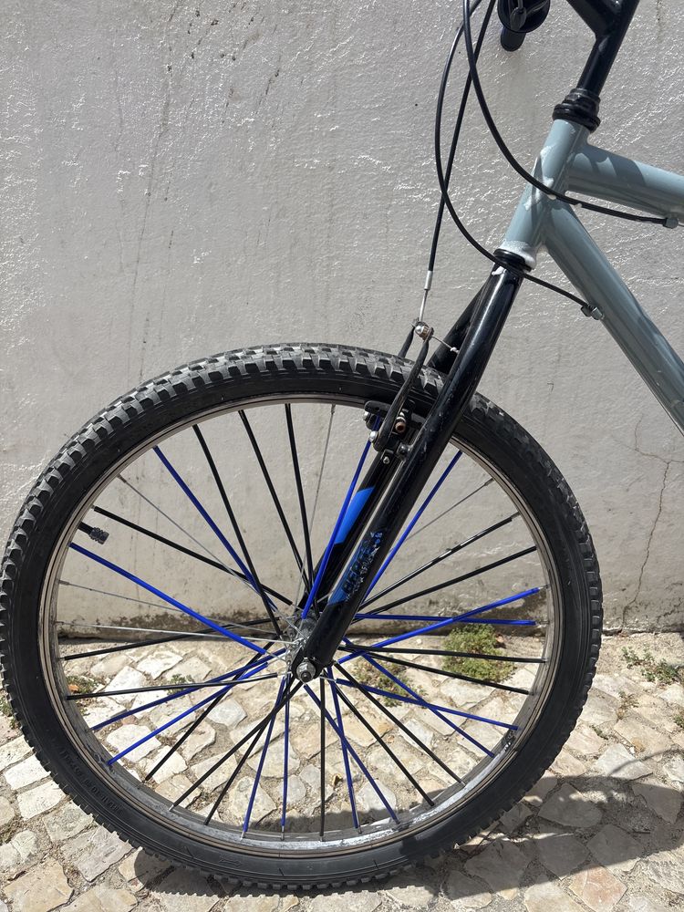 bicicleta  Berg