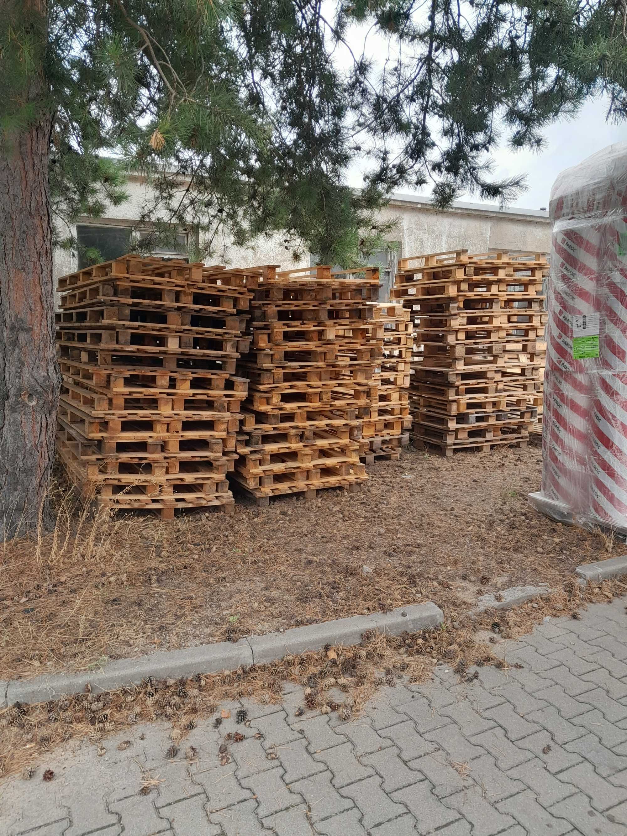 Palety długie 230x100