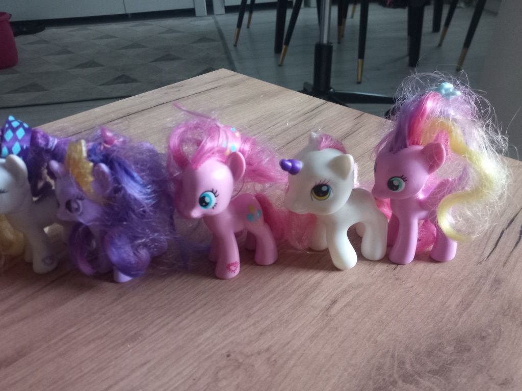 Koniki  My little Pony