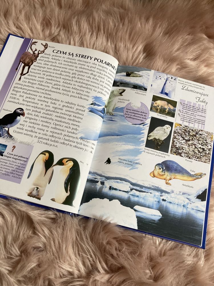 Ilustrowana encyklopedia Strefy polarne książka edukacyjna rozwijająca