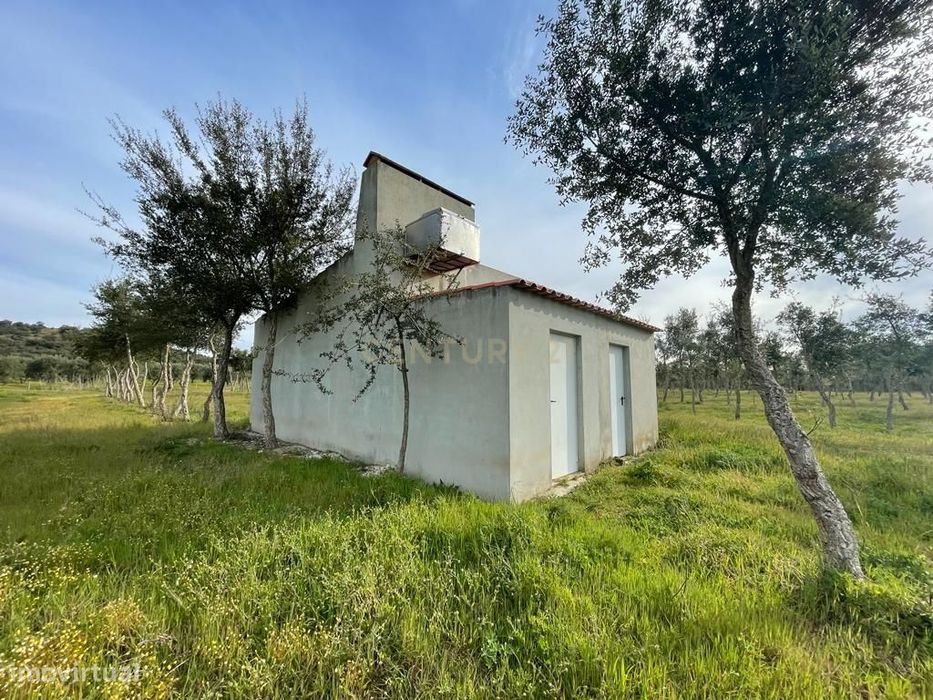 Quinta em São Bartolomeu do Outeiro