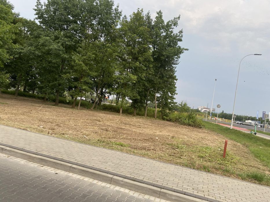 Mulczowanie Karczowanie usuwanie zakrzaczen samosiejek wycinka drzew