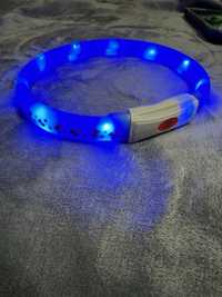 Ошейник для собак светящийся с USB размер M 55см/20мм ZooMax