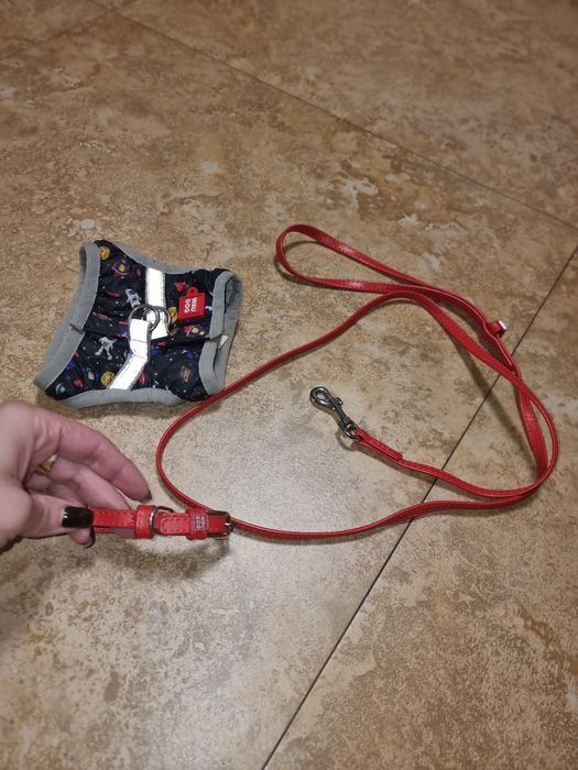 Ошейник + поводок +шлея