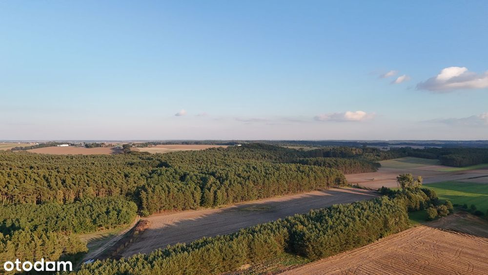 Działka leśna na sprzedaż w Żelaznie
