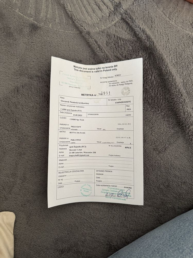 Owczarek niemiecki FCI rodowód