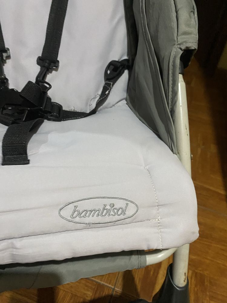 Carrinho de bebe