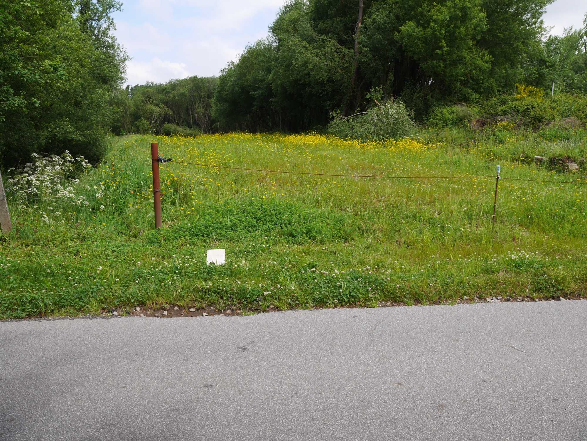 Terreno Fiaes -  Santa Maria da Feira