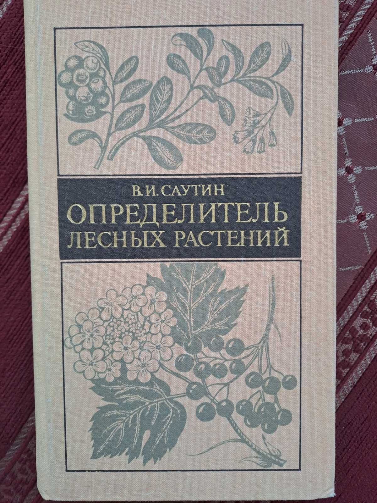Саутин. Определитель лесных растений