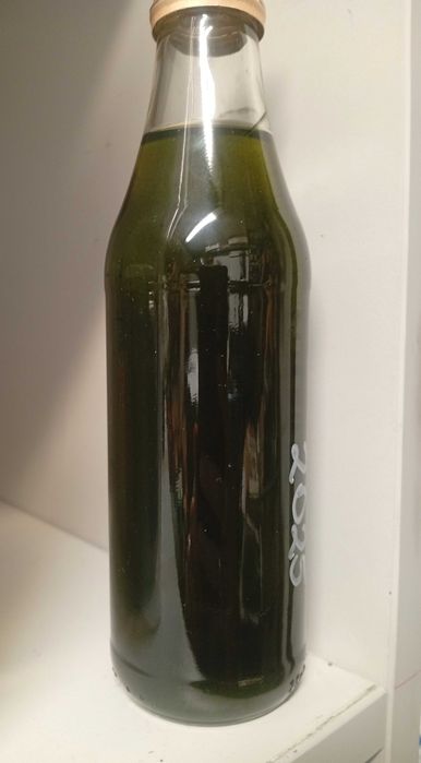 Intensywnie Zielona Orzechówka  2025