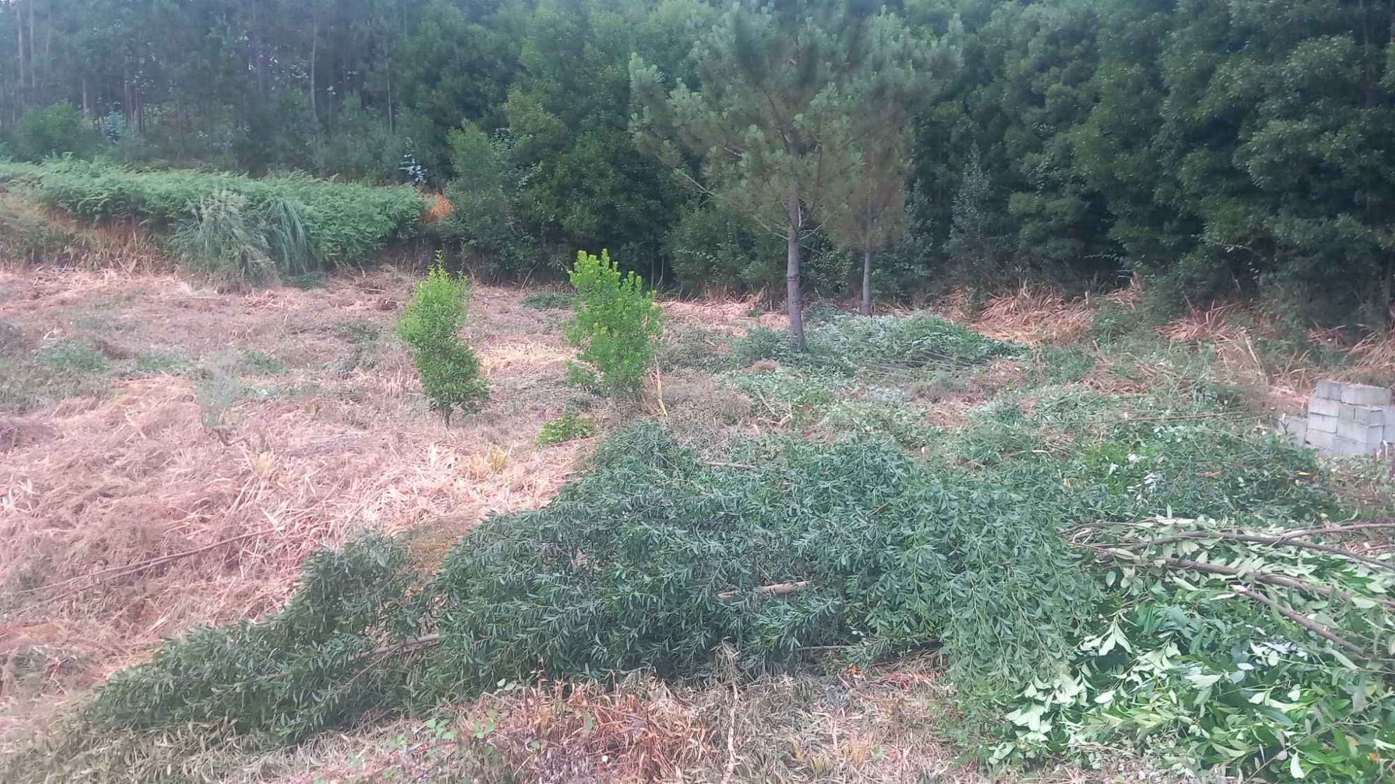 Vendo terreno1100m2