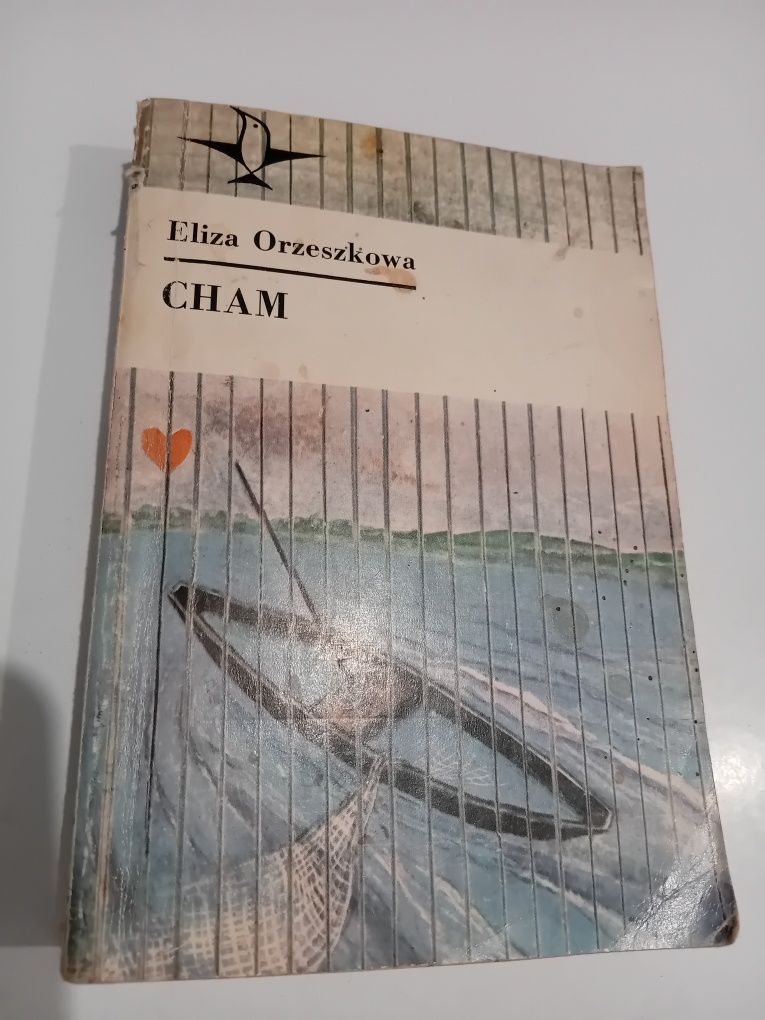 Eliza Orzeszkowa Cham seria koliber