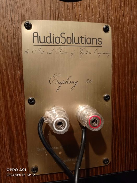 AudioSolutions Euphony 50 kolumny podłogowe