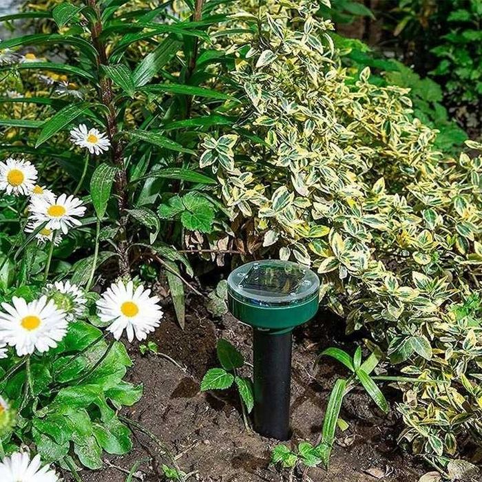 4X odstraszacz na krety kuny nornice myszy gryzoni solarny silny