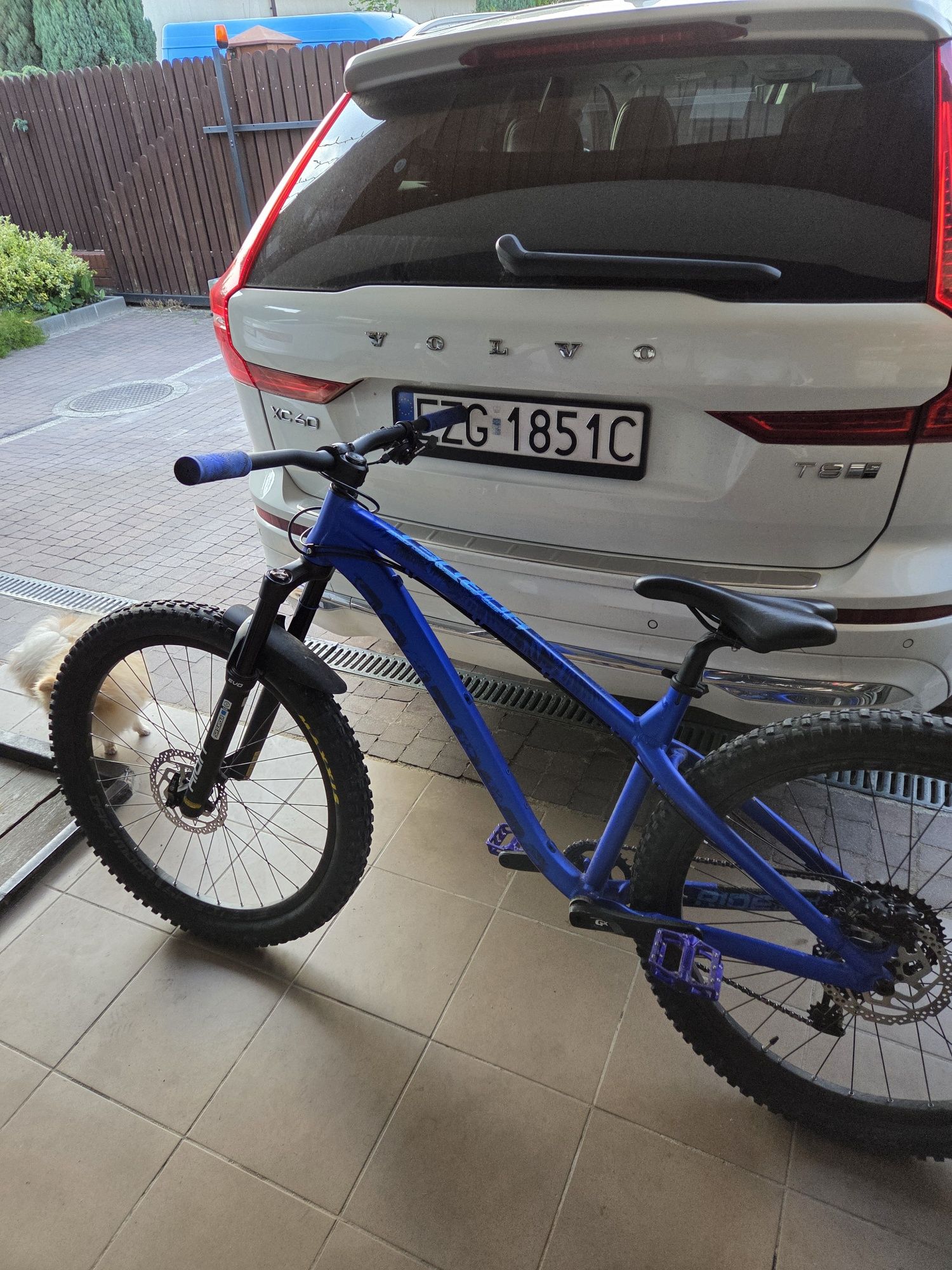 Dartmoor hornet pro 2022 (custom)