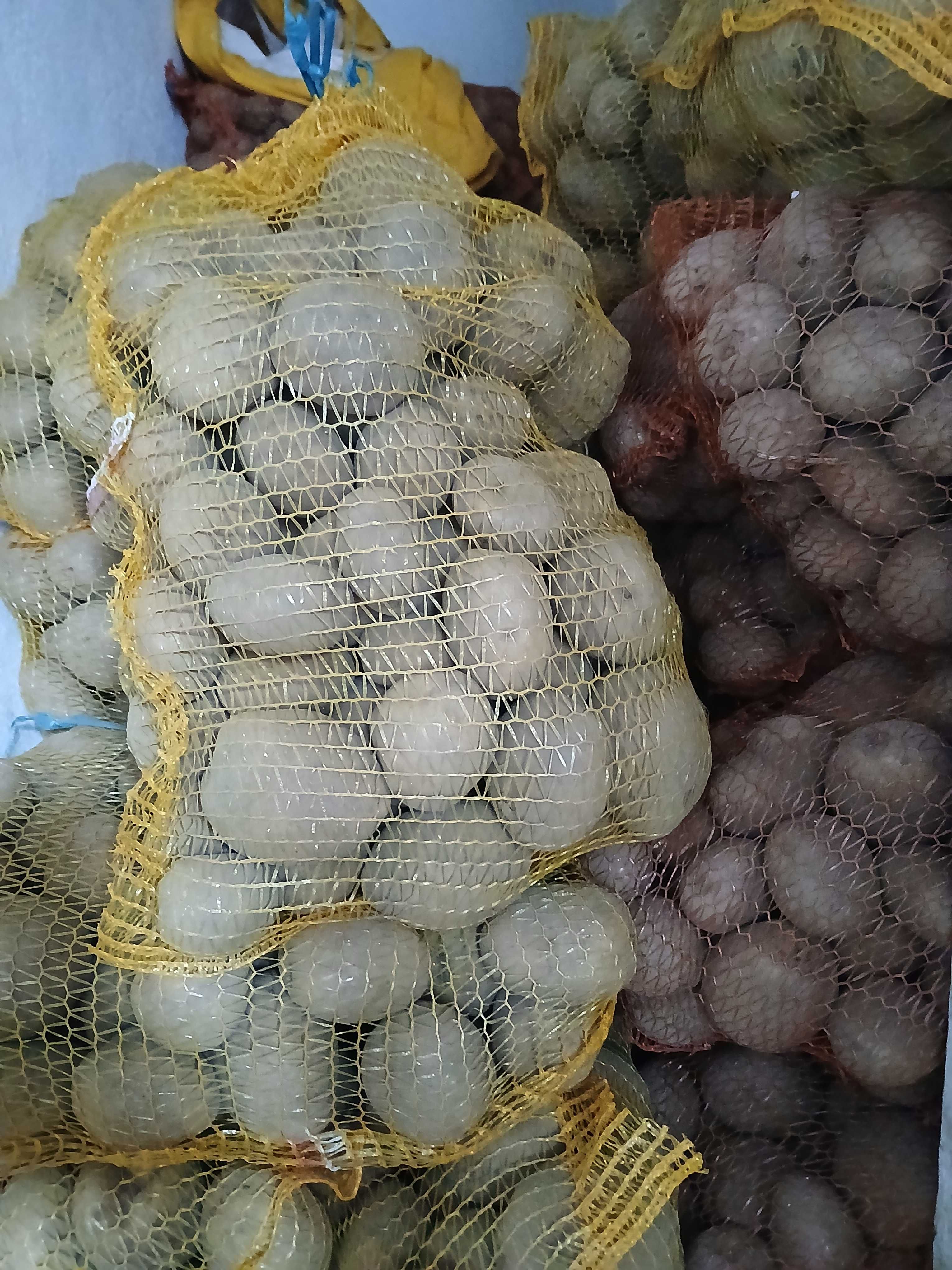 Ziemniaki Vineta
