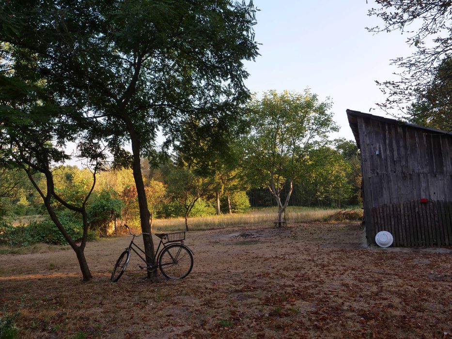 Wiejski dom na skraju wsi