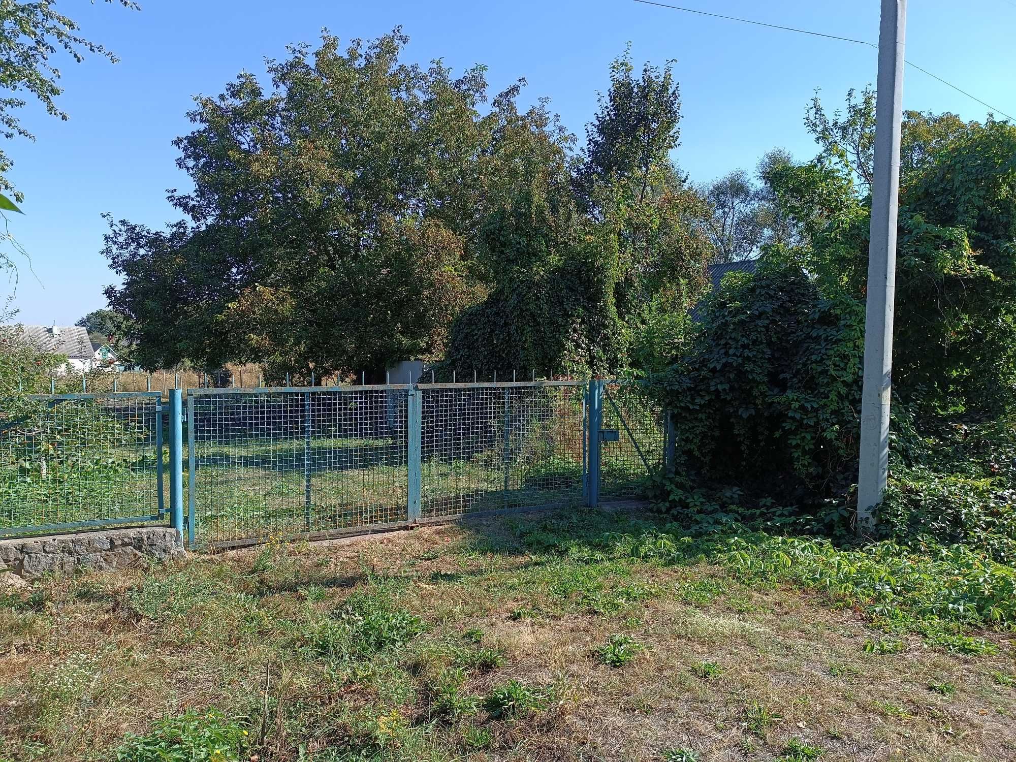 Земельна ділянка під житлову забудову 21 сотка