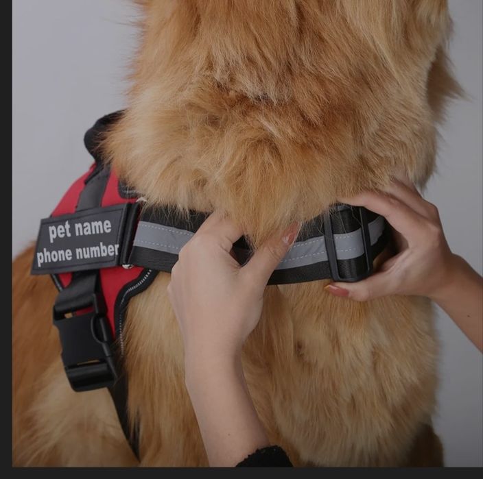 Peitoral para cão
