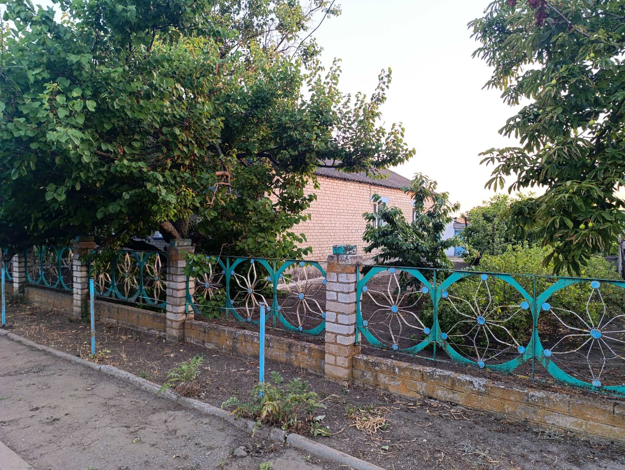 Будинок в с.Новопетрівка