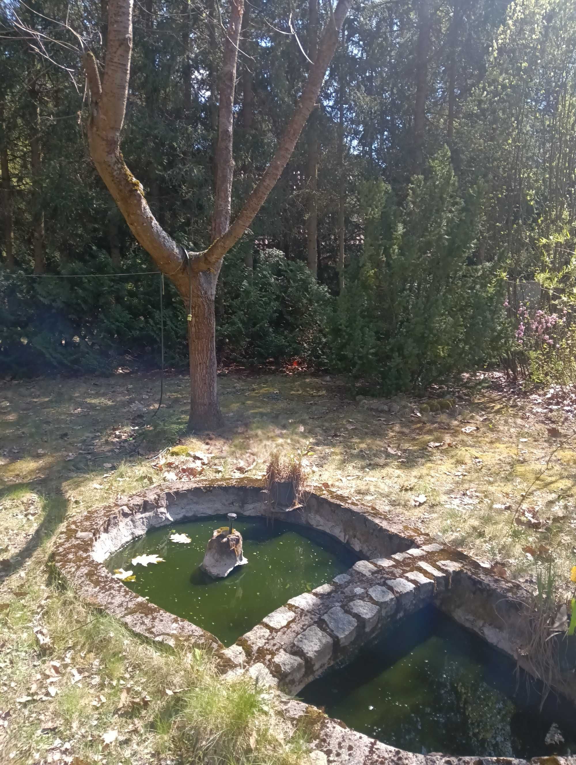 Wynajmę domek nad jeziorem okonińskim bory tucholskie.