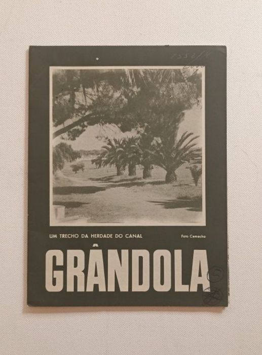 Vendo conjunto de 11 guias ROTEP