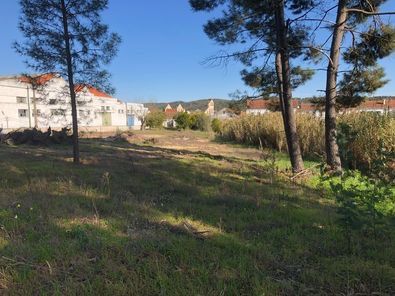 Quinta 4750m2 / T3 - Tramagal (Abrantes)