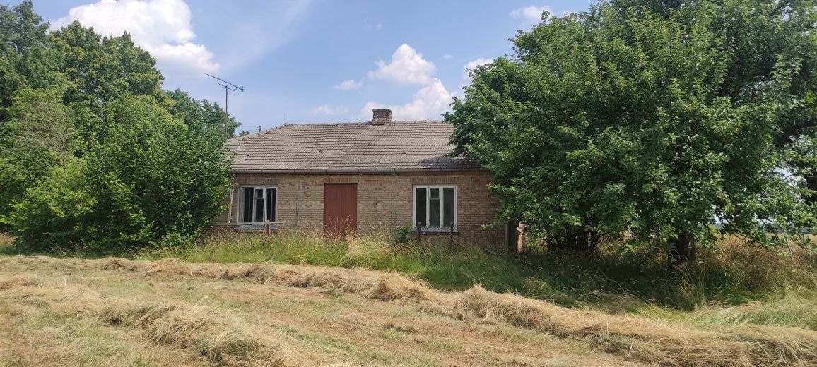 Gospodarstwo rolne dom budynki pole 2.8ha 5 km do Wisznic, żeszczynka