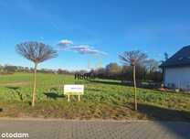 Działka - 1650 m2 - Żołędowo ul. Klonowa