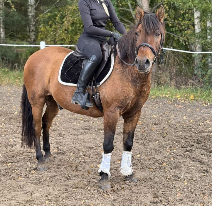 Cudowny walach dla kazdego