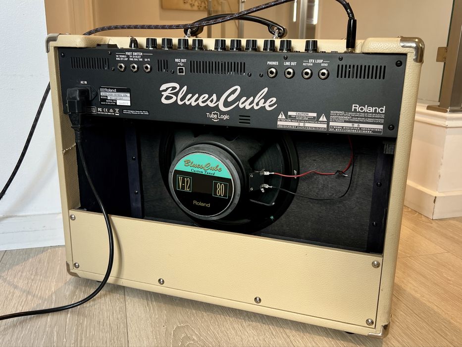 Roland Blues Cube Artist