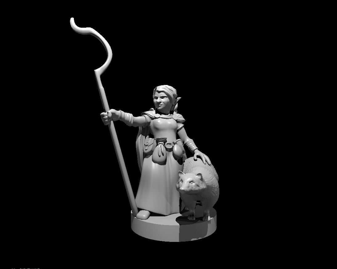 Miniaturas Aventureiros RPG Impressos em 3D - Classe: Druid/Druida
