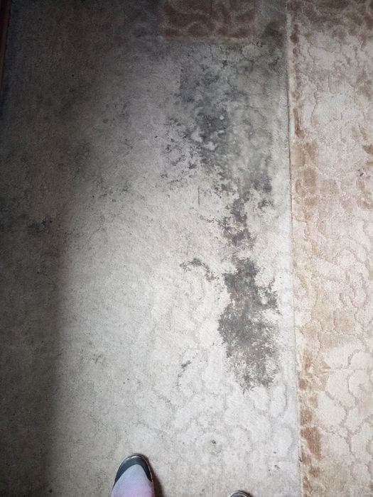 Хімчистка матраців,мягких меблів, салонів авто, ковролінів, килимів.