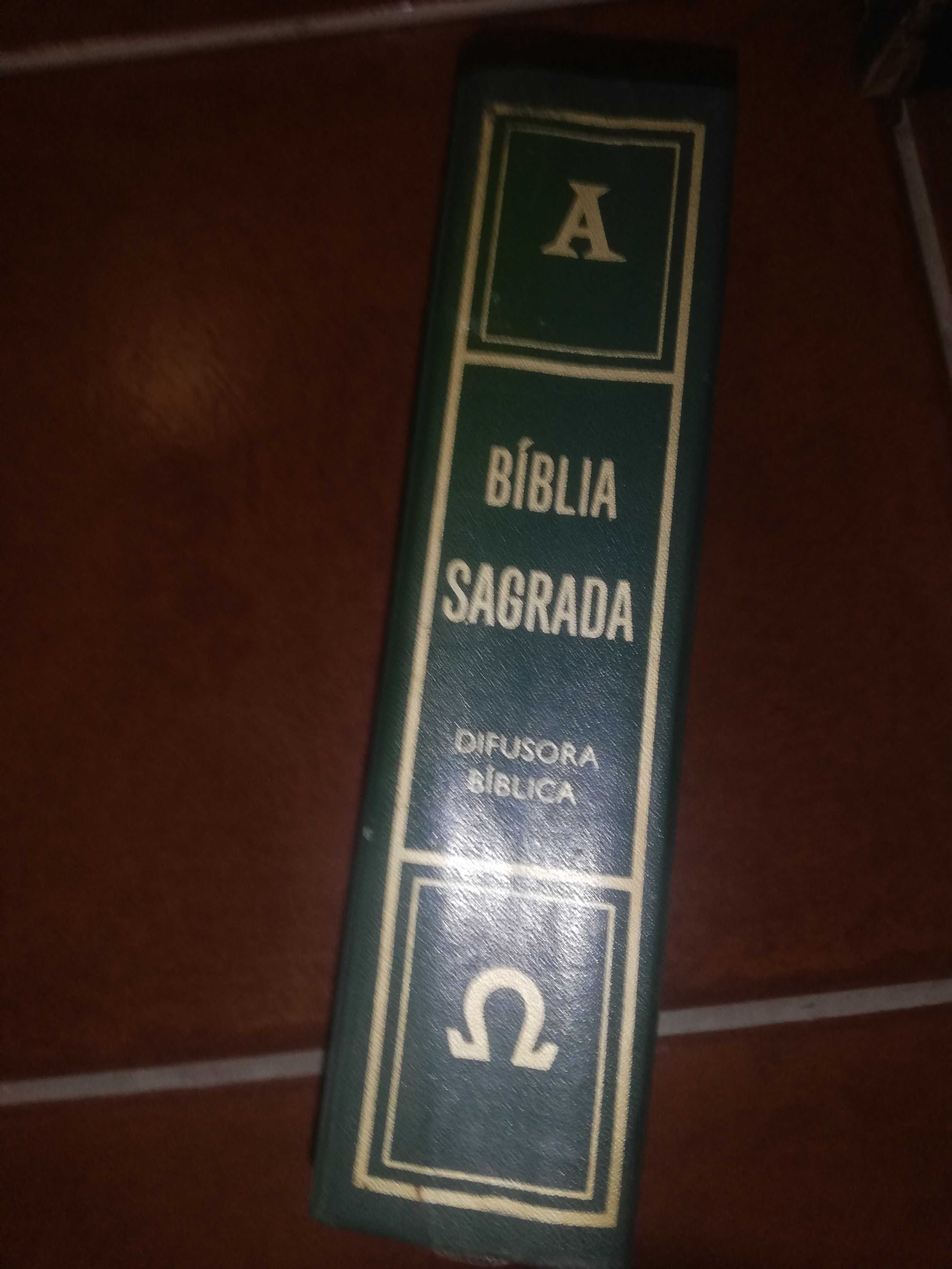 A Bíblia Sagrada (rara)