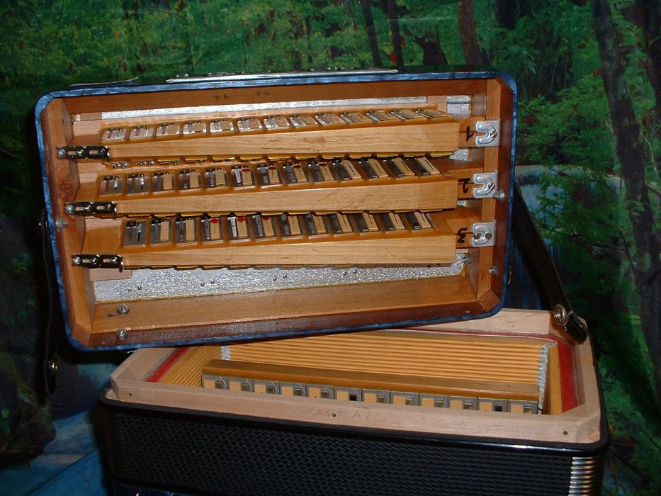 Acordeão avenda G, .623