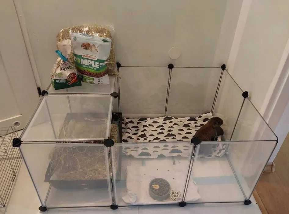 Kojec zagroda klatka dla królika świnki chomika domowa 143x73x46 cm