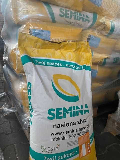 Pszenica ozima kwalifikat OPOKA Venecja