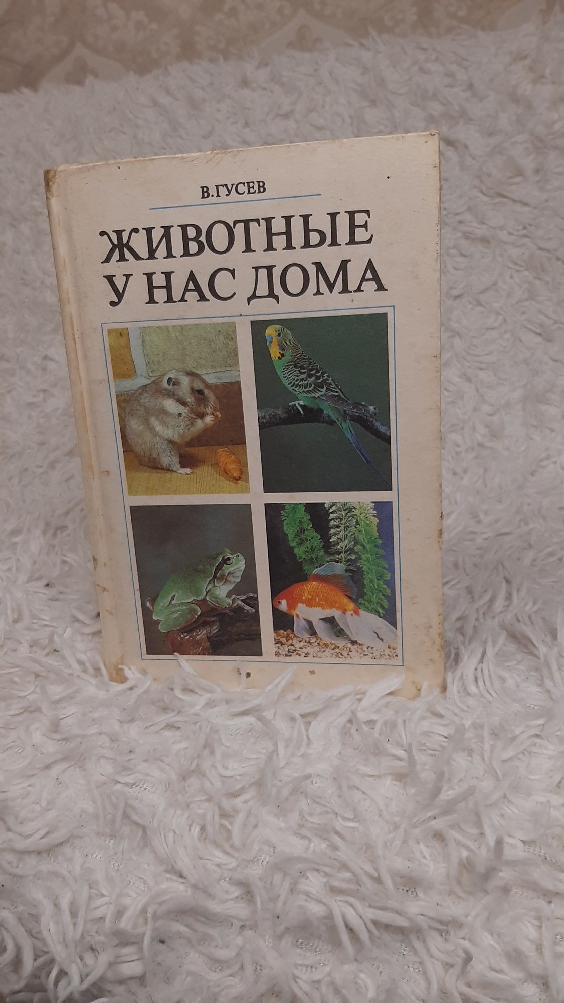 Животные у нас дома. В. Гусев. Справочное пособие  животные у нас дома